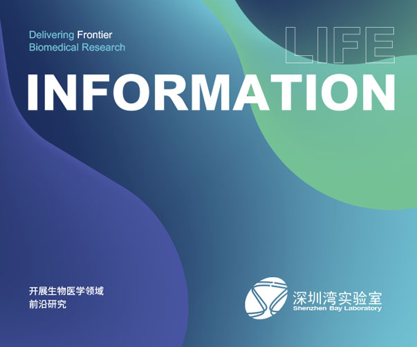 廈門標(biāo)志設(shè)計：華僑文化與現(xiàn)代都市的多元融合